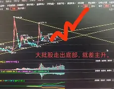 赛艇超级杯焦点战：关东迅豹队强势反弹皖江巨龙队，客场强势带走胜利。门前嗅觉决定胜负